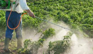 زرعی ادویات کی مارکیٹ میں سنگین خامیوں کی نشاندہی: رپورٹ