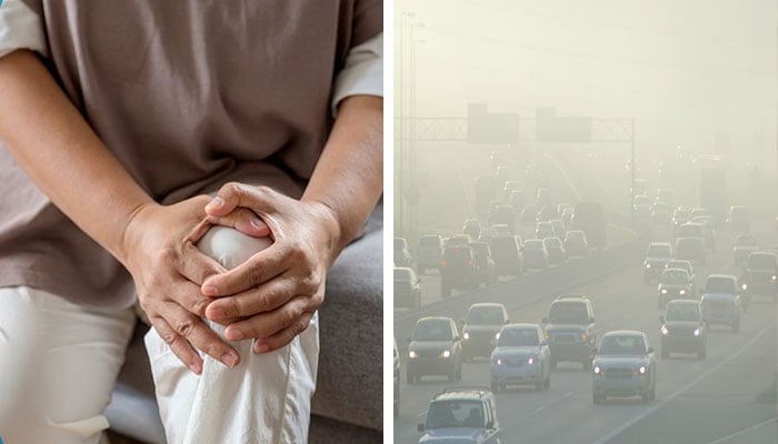 ---فائل فوٹوز