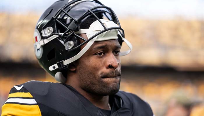 Steelers star DK Metcalf in trouble after punching Lions’ fan: ‘Hefty fine’