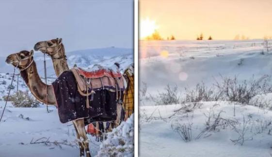 سعودی عرب میں برفباری کے نایاب مناظر، صحرائی علاقہ سحر انگیز