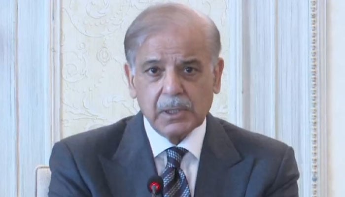 فوٹو: اسکرین گریب