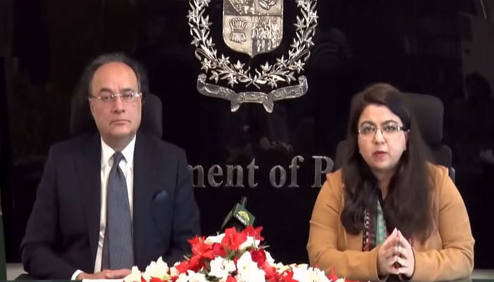 جلد پاکستان میں فائیو جی متعارف ہو جائے گا: شزا فاطمہ