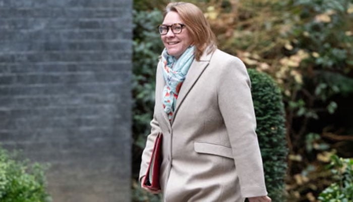 لیبر پارٹی کی چیئر اینا ٹرلی—فائل فوٹو