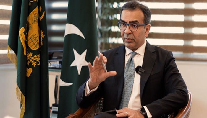 مشیرِ نجکاری محمد علی—فائل فوٹو