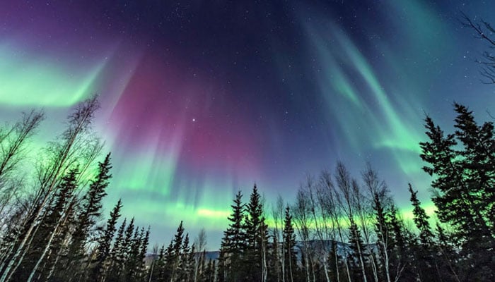 Aurora Borealis to illuminate the skies across US tonight