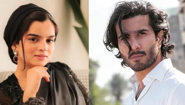 Aliza Sultan makes fresh claims about Feroze Khan amid child custody dispute