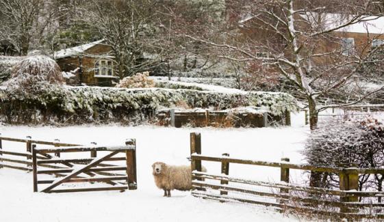 برطانیہ: کرسمس سے قبل  مختلف علاقوں میں شدید سردی کی لہر