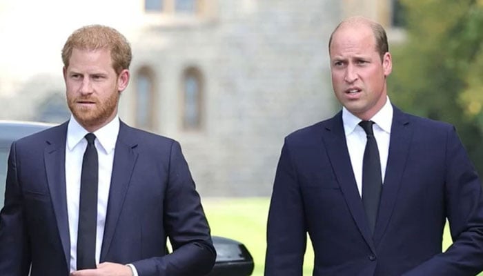 ---فائل فوٹو