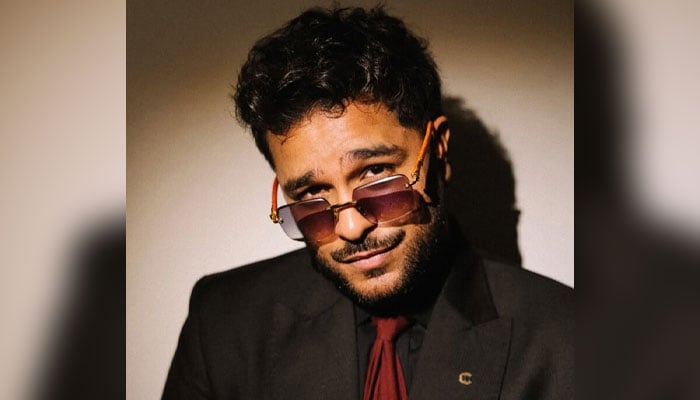 2025 میں بیانات، ازدواجی مسائل، قانونی تنازعات نے شوبز شخصیات کو گھیرے رکھا