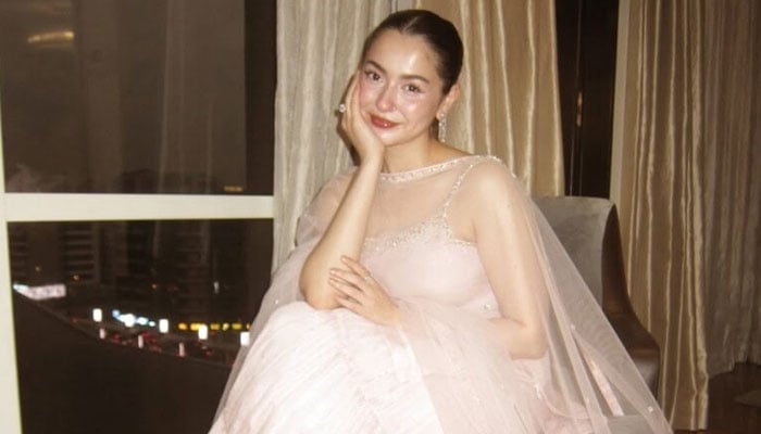 2025 میں بیانات، ازدواجی مسائل، قانونی تنازعات نے شوبز شخصیات کو گھیرے رکھا