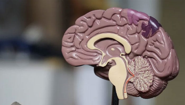 ---فائل فوٹو