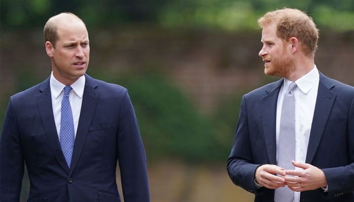 Prince William determinant to cause financial troubles for Prince Harry