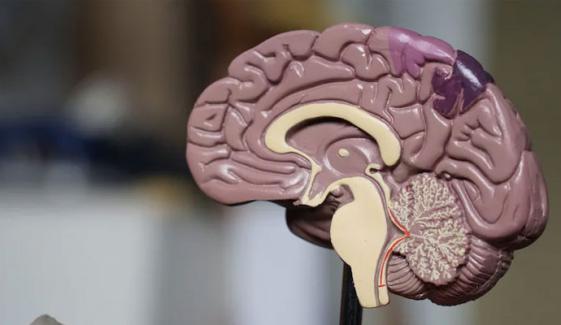 میگنیشیم کی کمی کس دماغی بیماری کا خطرہ بڑھا دیتی ہے؟