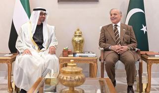 وزیراعظم شہباز شریف سے یو اے ای کے صدر شیخ محمد بن زاید النہیان کی ملاقات