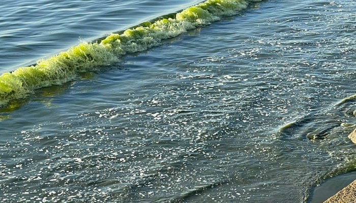 تصویر بشکریہ جیو نیوز