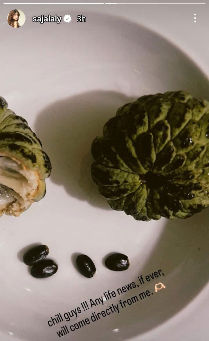 کیا واقعی سجل علی اور حمزہ سہیل شادی کر رہے ہیں؟ اداکارہ کی لب کشائی