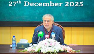 اسحاق ڈار کا غزہ میں فوجی دستے بھیجنے کی خبروں کی تصدیق سے انکار 