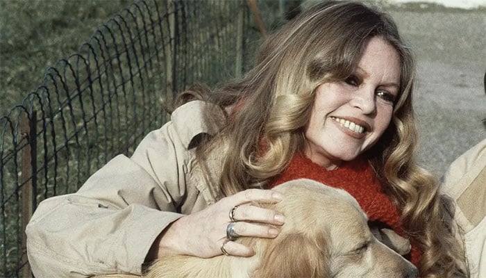 فوٹو: امریکی میڈیا