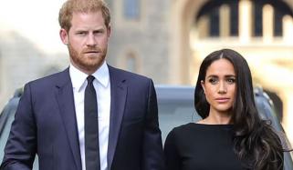میگھن مارکل اور پرنس ہیری میں پیشہ ورانہ علیحدگی کا امکان