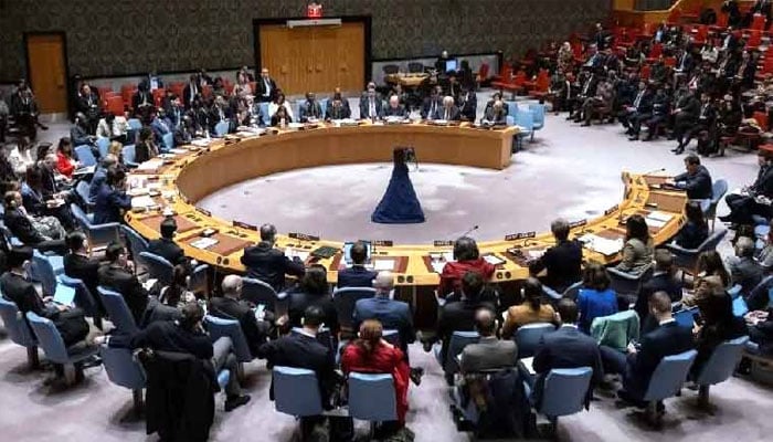 صومالی لینڈ کو تسلیم کرنے کا اسرائیلی اقدام، سلامتی کونسل کا اجلاس آج ہوگا