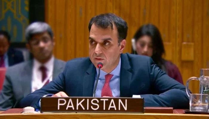 اسرائیل فلسطینیوں کو دربدر کرکے صومالی لینڈ بھیجنا چاہتا ہے، پاکستان، صومالی لینڈ پر سلامتی کونسل کا ہنگامی اجلاس