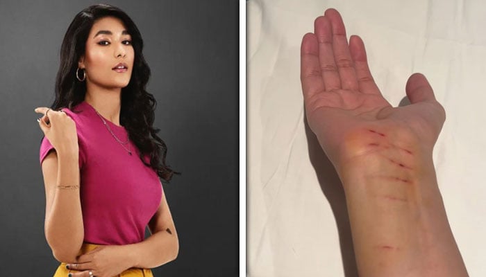 تصویر:سوشل میڈیا