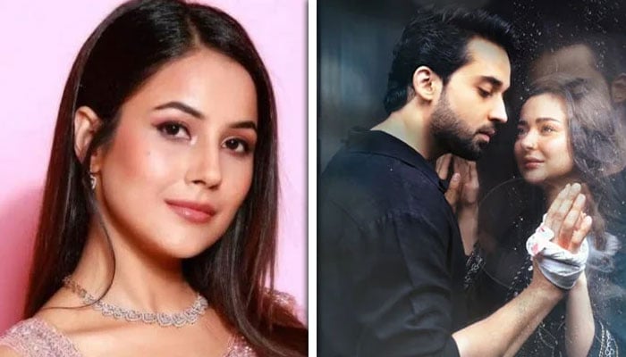 بھارتی اداکارہ شہناز گل کا پاکستانی ڈرامہ ’میری زندگی ہے تو‘ سے غیر معمولی لگاؤ