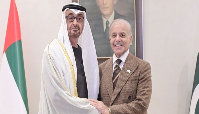 وزیراعظم شہباز شریف اور اماراتی صدر شیخ محمد بن زاید کی ملاقات