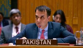 اسرائیل فلسطینیوں کو دربدر کرکے صومالی لینڈ بھیجنا چاہتا ہے، پاکستان، صومالی لینڈ پر سلامتی کونسل کا ہنگامی اجلاس