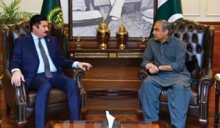 وفاقی وزیر داخلہ کی گورنر کےپی سے ملاقات، صوبے میں امن و امان کی صورتحال پر تبادلہ خیال