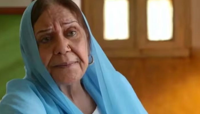 2025 میں مداحوں سے بچھڑنے والی نمایاں شخصیات