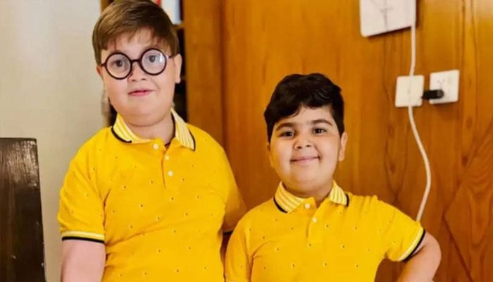 2025 میں مداحوں سے بچھڑنے والی نمایاں شخصیات