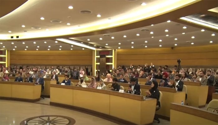 ویڈیو گریب۔