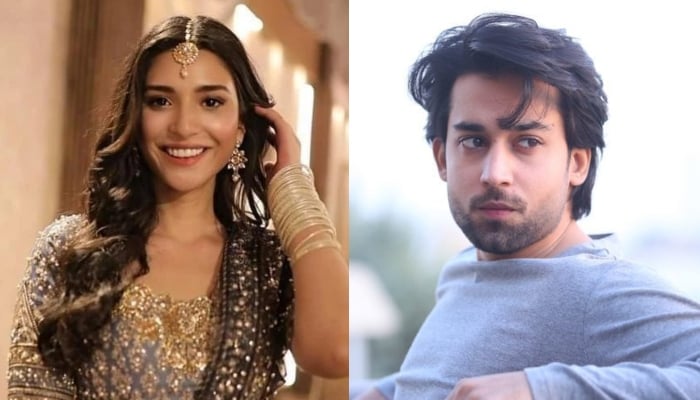 Ramsha Khan steps away from Meri Zindagi Hai Tu after Bilal Abbas joins cast