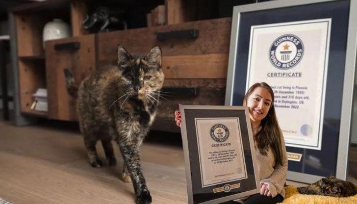 بین الاقوامی میڈیا