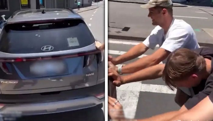 فوٹو — ایکس