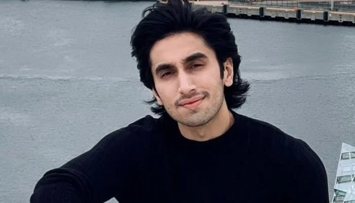 Hamza Sohail teases new project with heartfelt New Years message