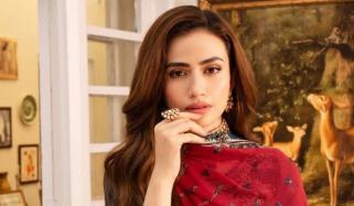 میں اپنا میاں کسی کو نہیں دے سکتی: ثناء جاوید