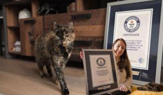 دنیا کی معمر ترین بلی فلاسی کی 30ویں سالگرہ، عالمی ریکارڈ بنالیا