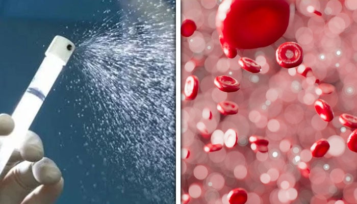 — فائل فوٹو