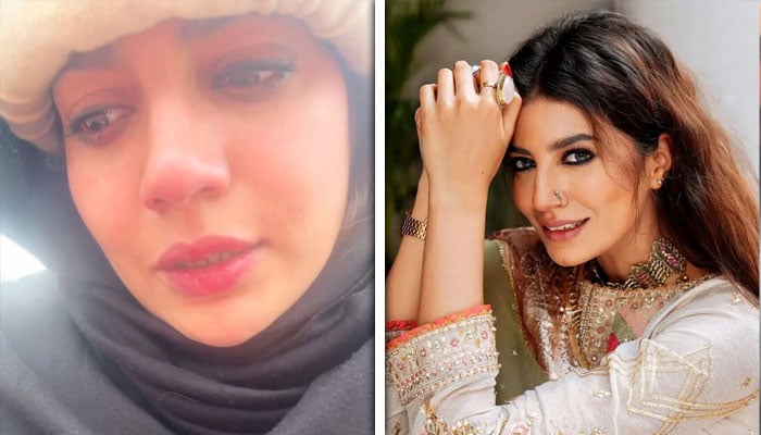 — اسکرین گریب