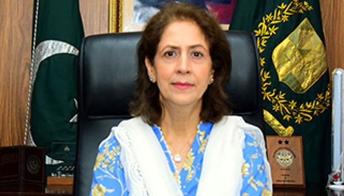 پارلیمانی کمیٹی کی چیئرمین پیمرا کیلئے عنبرین جان کے نام کی تجویز