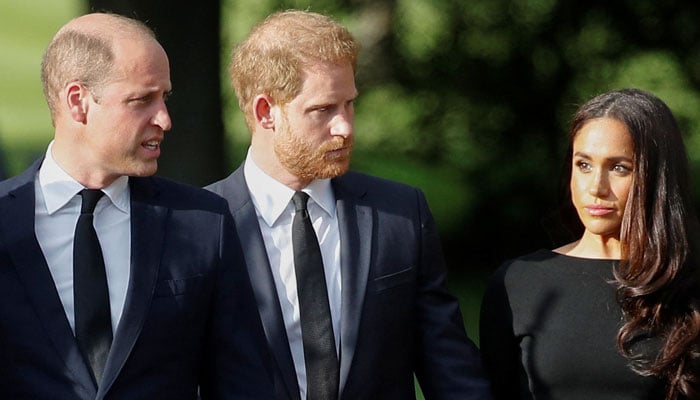 Prince William strongly reacts to Harry, Meghans shameless plan for mom Diana