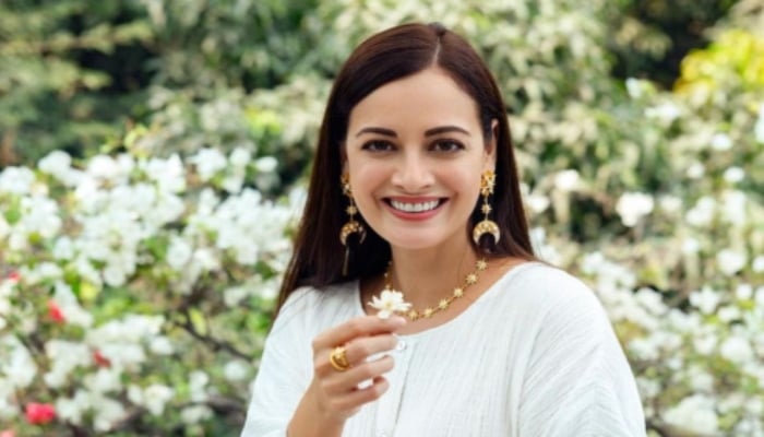 Dia Mirza hints at blockbuster 2026 with multiple new projects in the pipeline