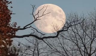  3 جنوری کو 2026 کا پہلا سپر مون ہوگا، سپارکو