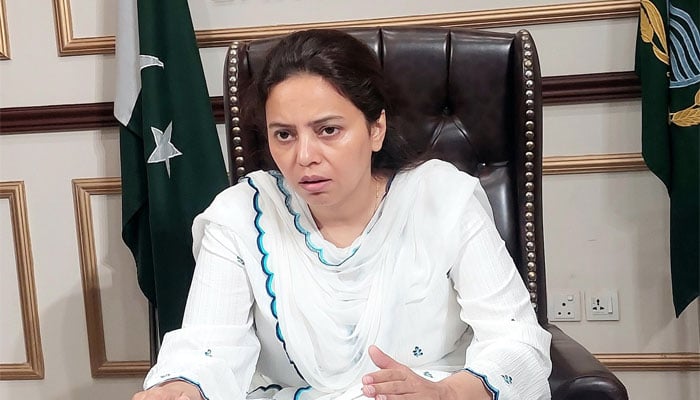 لاہور میں 6 فروری سے پہلے پتنگ کی قطعاً اجازت نہیں، کمشنر مریم خان