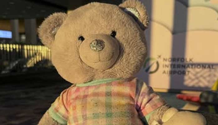 فوٹو: سوشل میڈیا