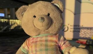 امریکی ایئرپورٹ حکام کو گمشدہ ٹیڈی بیئر کے مالک کی تلاش