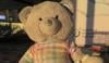 امریکی ایئرپورٹ حکام کو گمشدہ ٹیڈی بیئر کے مالک کی تلاش