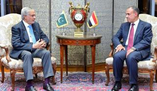  اسحاق ڈار اور مصری وزیر خارجہ کے درمیان ٹیلیفونک رابطہ، خطے کی موجودہ صورتحال پر گفتگو